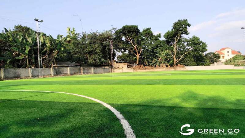 Cỏ nhân tạo sân bóng D1S