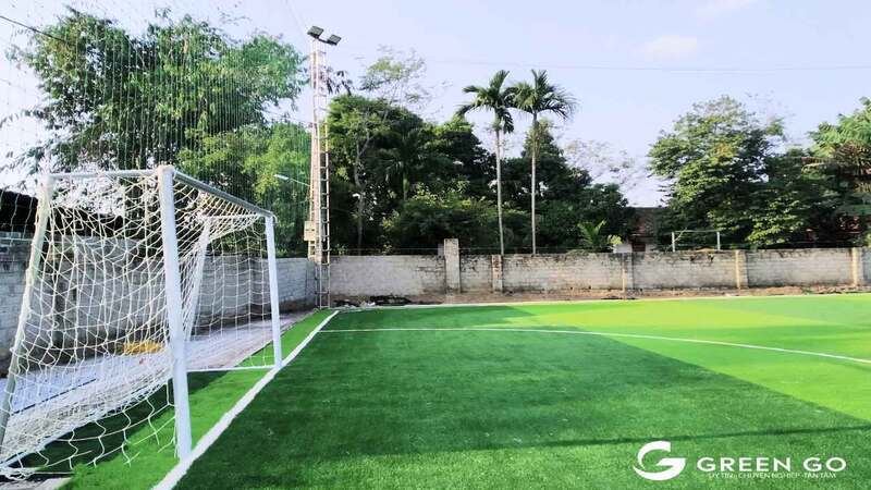 Cỏ nhân tạo sân bóng D1S