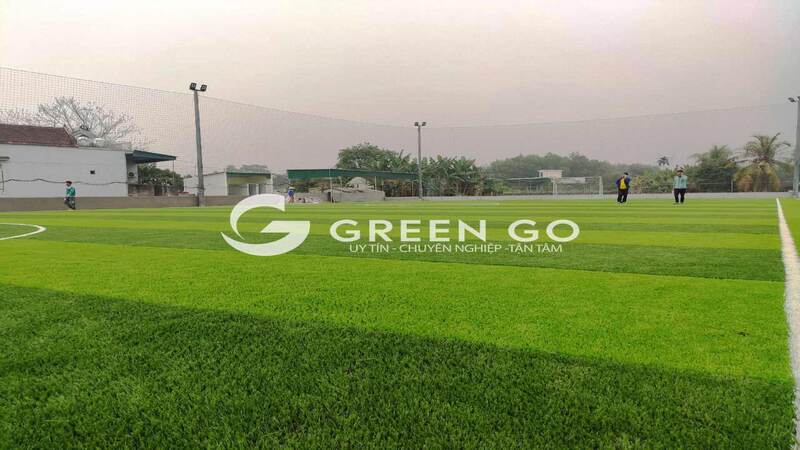 Cỏ nhân tạo sân bóng G1512