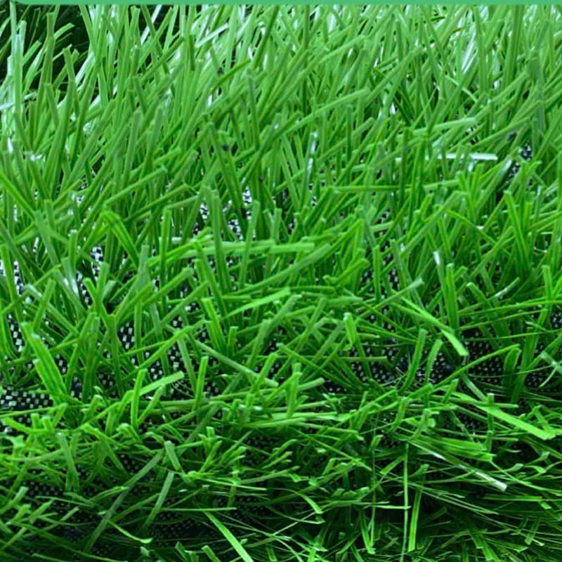 Cỏ nhân tạo sân bóng D1S