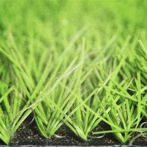 Cỏ nhân tạo sân bóng GD1608
