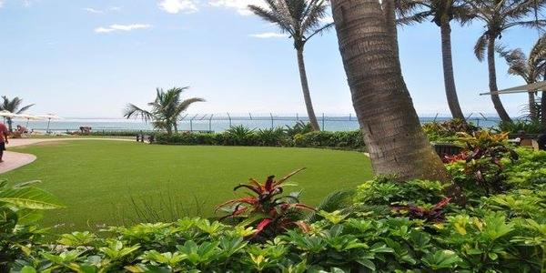 cỏ nhân tạo được sử dụng nhiều trong khách sạn