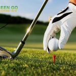 Cùng bạn khám phá các đặc điểm của cỏ nhân tạo sân Golf hiện nay