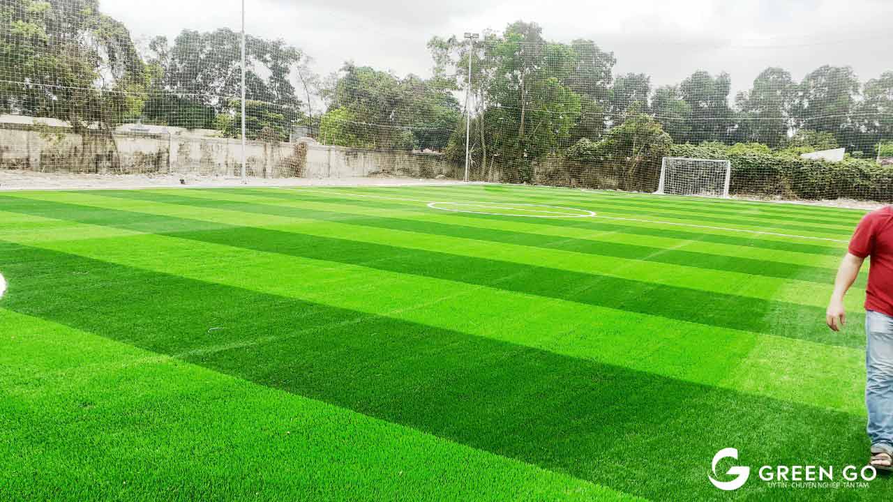 Thuê đất làm sân bóng đá cỏ nhân tạo - Cỏ nhân tạo GreenGo - Cam kết giá rẻ, chất lượng
