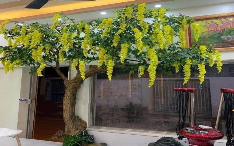 Hoa tử đằng - Ảnh 3