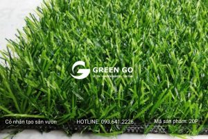 Cỏ nhân tạo sân vườn 20P