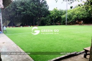 Cỏ nhân tạo sân vườn 30D