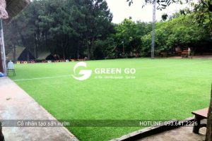 Cỏ nhân tạo sân vườn 30D