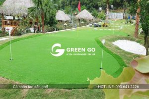 Cỏ nhân tạo sân golf G3