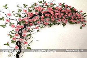 Cành hoa hồng leo