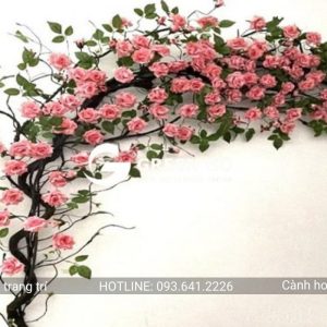 Cành hoa hồng leo