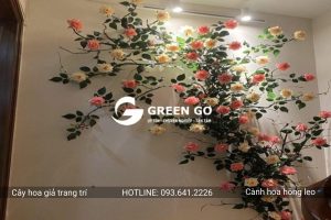 Cành hoa hồng leo