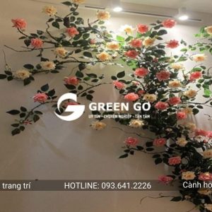 Cành hoa hồng leo