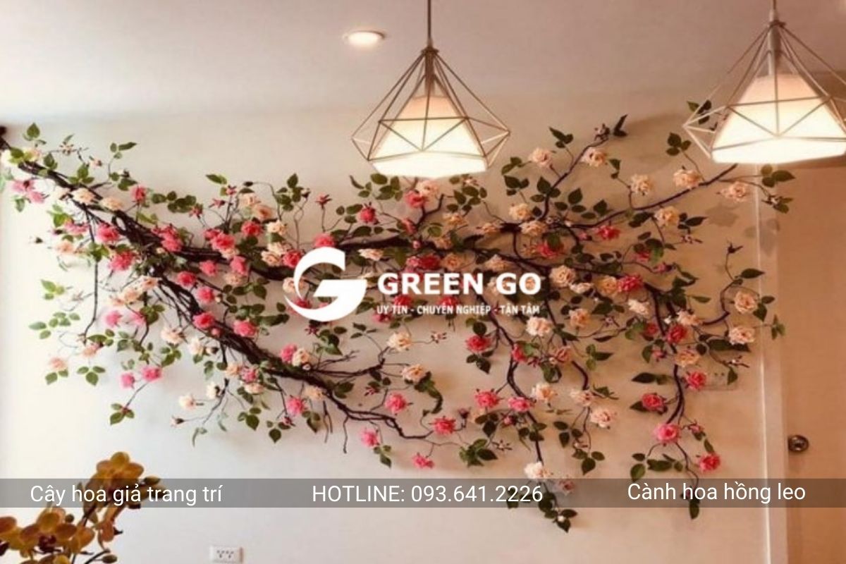Cành hoa hồng leo