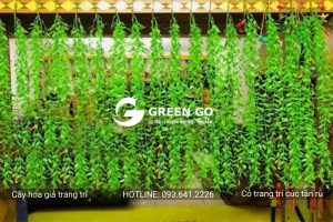 Cỏ trang trí cúc tần rủ