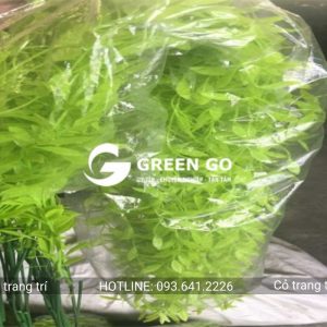 Cỏ trang trí cúc tần rủ