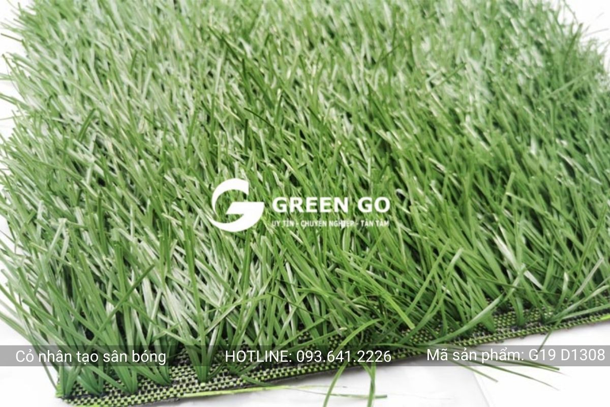 Cỏ nhân tạo sân bóng G19 D1308 - Ảnh 5