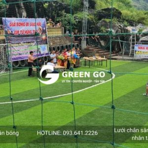 Alternative view of Lưới chắn sân bóng cỏ nhân tạo