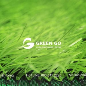 Cỏ nhân tạo sân bóng G19 D1608
