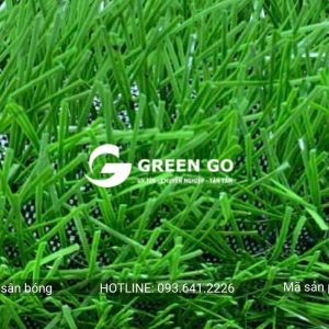 Cỏ nhân tạo sân bóng D1S
