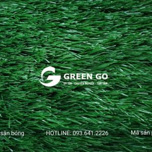 Cỏ nhân tạo sân bóng G31