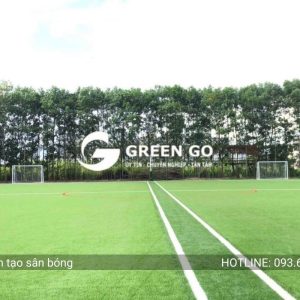 Alternative view of Cỏ nhân tạo sân bóng GT1308