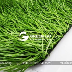 Alternative view of Cỏ nhân tạo sân bóng TS1308