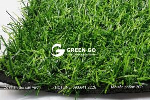 Cỏ nhân tạo sân vườn 20R