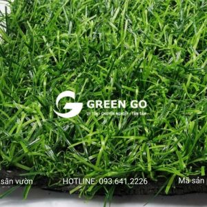 Cỏ nhân tạo sân vườn 20R