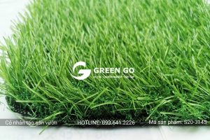 Cỏ nhân tạo sân vườn S20-314S