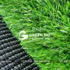 Cỏ nhân tạo sân vườn G20P