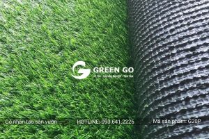 Cỏ nhân tạo sân vườn G20P