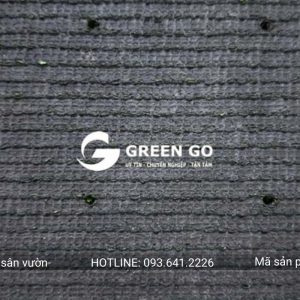 Cỏ nhân tạo sân vườn G20P