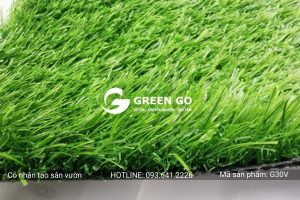 Cỏ nhân tạo sân vườn G30V