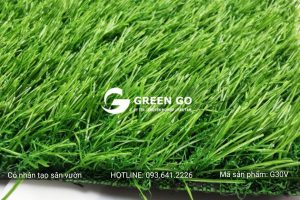 Cỏ nhân tạo sân vườn G30V