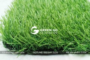 Cỏ nhân tạo sân vườn G30V