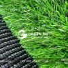 Cỏ nhân tạo sân vườn PTN-TG30/PTN-LG30