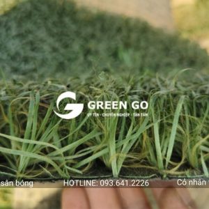 Alternative view of Cỏ nhân tạo sân bóng thanh lý