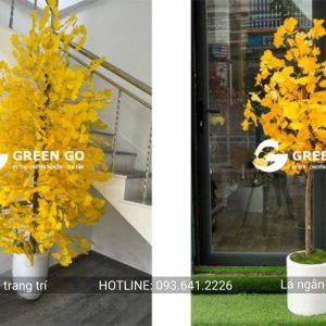 Lá ngân hạnh vàng