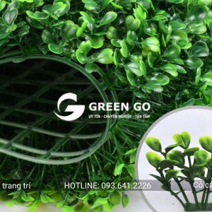 Alternative view of Lá cải xoang