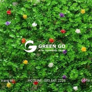 Cỏ tai chuột hoa